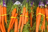 Is a Carrot a Fruit or a Vegetable?