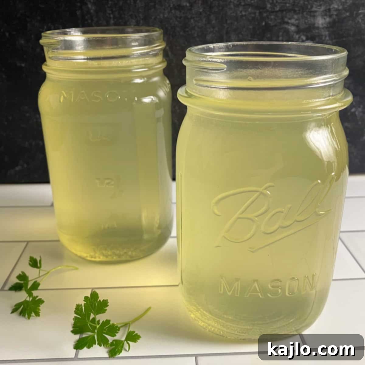 Chicken Back Magic: Stock, Soups & Savory Recipes 1 featured 26820