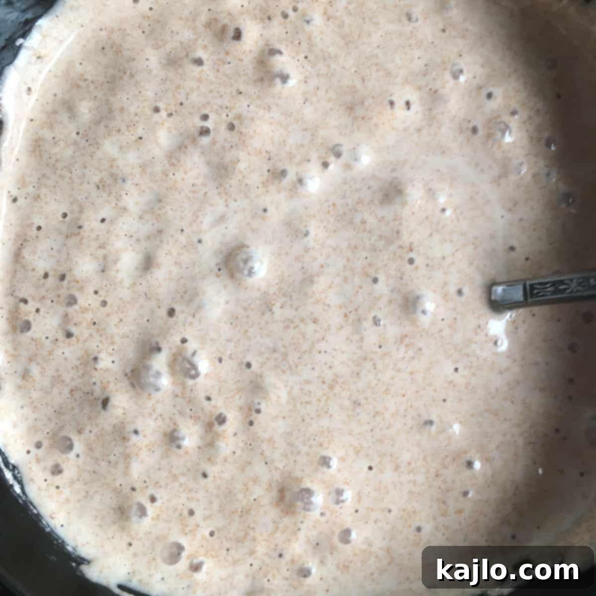 Cultivating Your Own Spelt Sourdough Starter 1 featured 2913