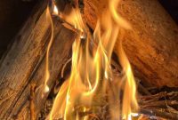 Ultimate Campfire Cooking System