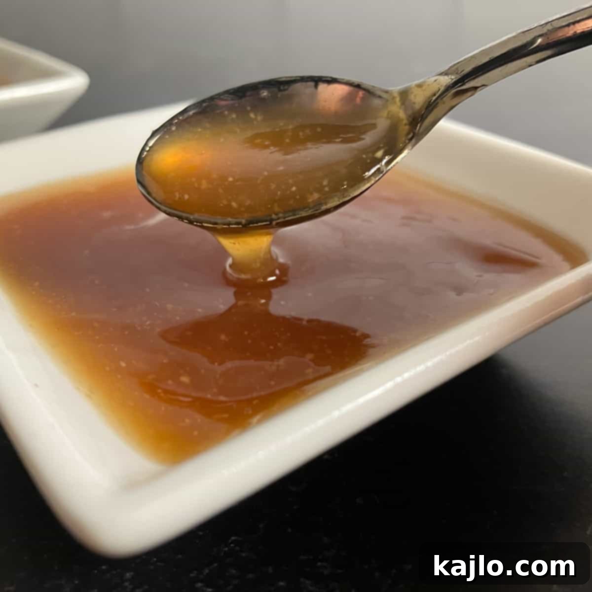 Best Teriyaki Sauce Substitutes 1 featured 31646