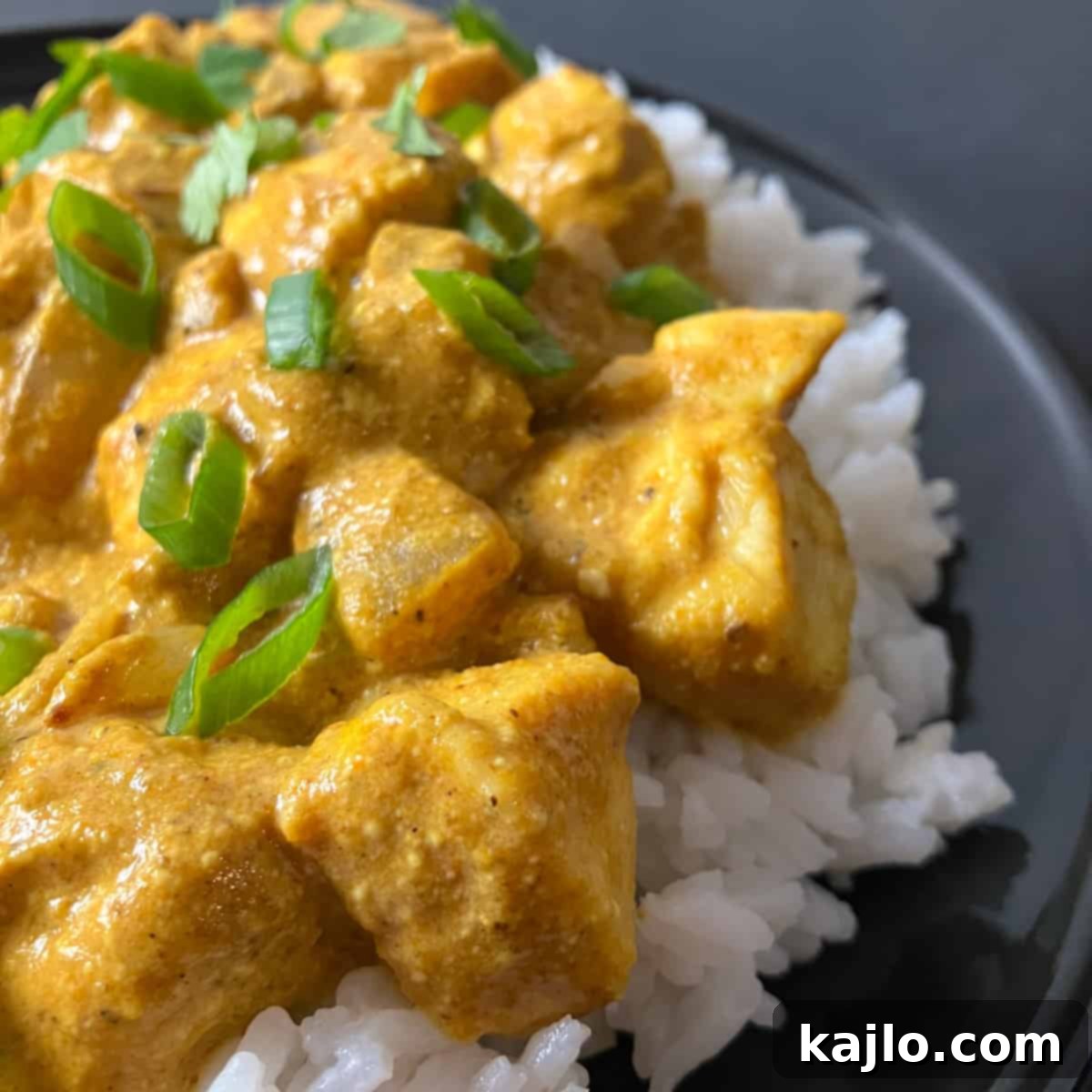 Easy Air Fryer Chicken Curry 1 featured 39214