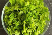 Flavorful Carrot Greens Recipes