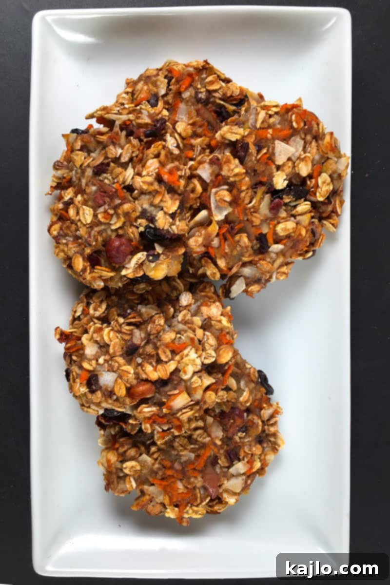No sugar, no oil, no flour cookies – a healthy and delicious vegan breakfast or snack option.