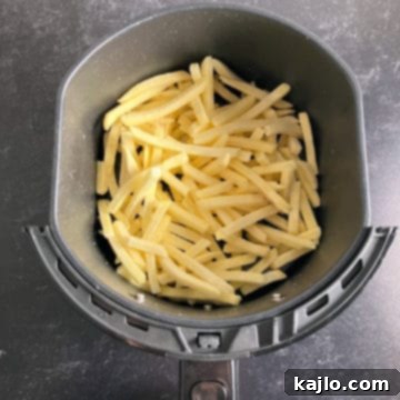 Air Fryer Frozen French Fries: Crispy and Healthy 8 frozen french fries in air fryer