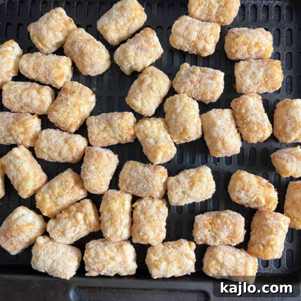 Ore Ida Tater Tots and Frozen Potatoes Air Fryer Recipe: Crispy Perfection 6 Perfectly cooked Ore-Ida Tater Tots from the air fryer