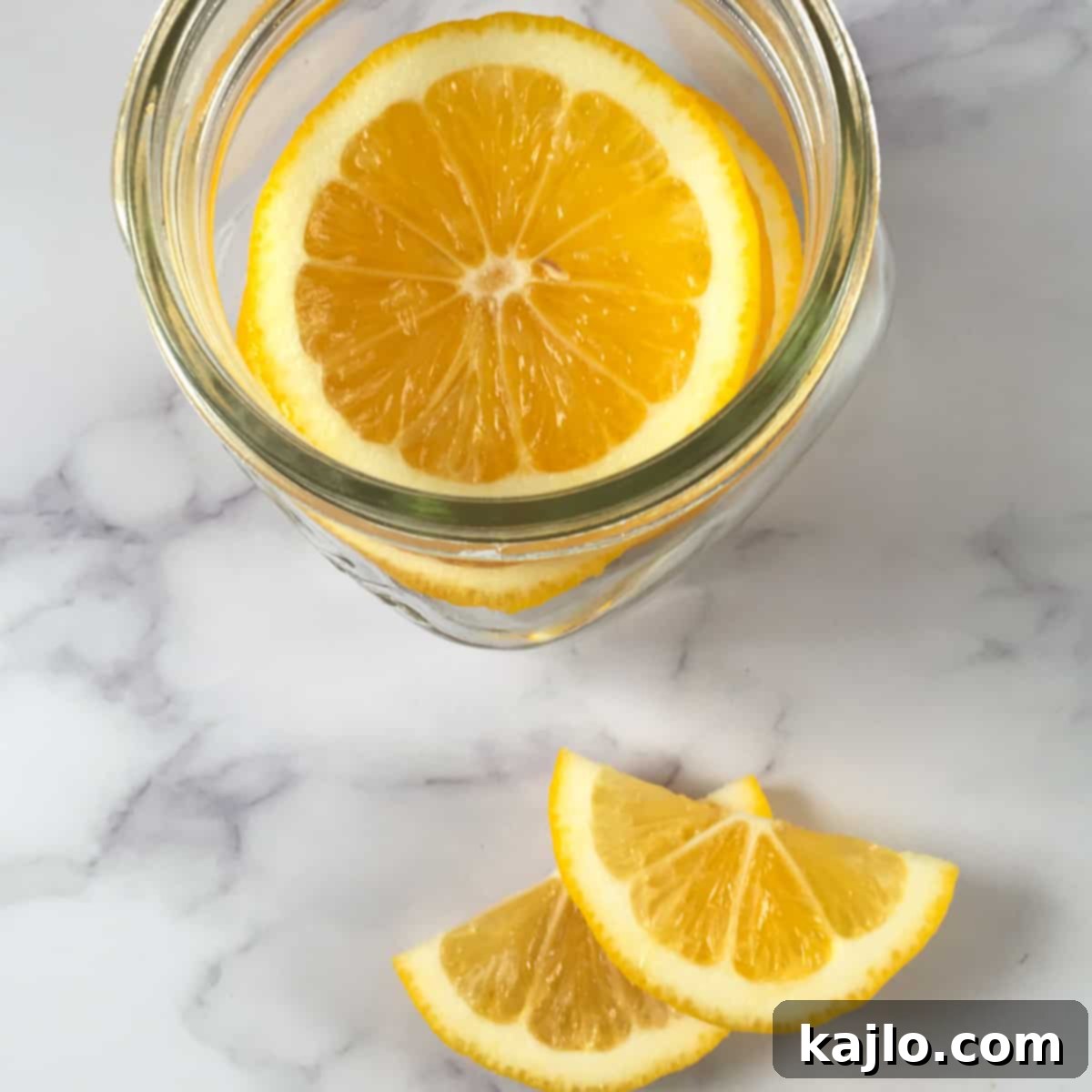 Easy Fermented Lemon Slices 6 meyer lemon slices mason jar