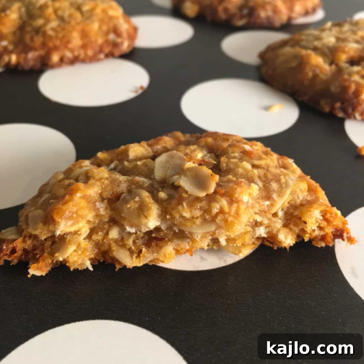 Half-eaten coconut Anzac biscuit, showing its texture