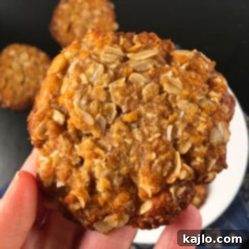 gluten free anzac biscuit