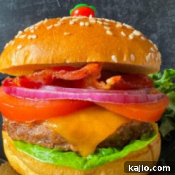 Air Fryer Bison Burgers Great for Beef Patties 6 air fryer bison burger