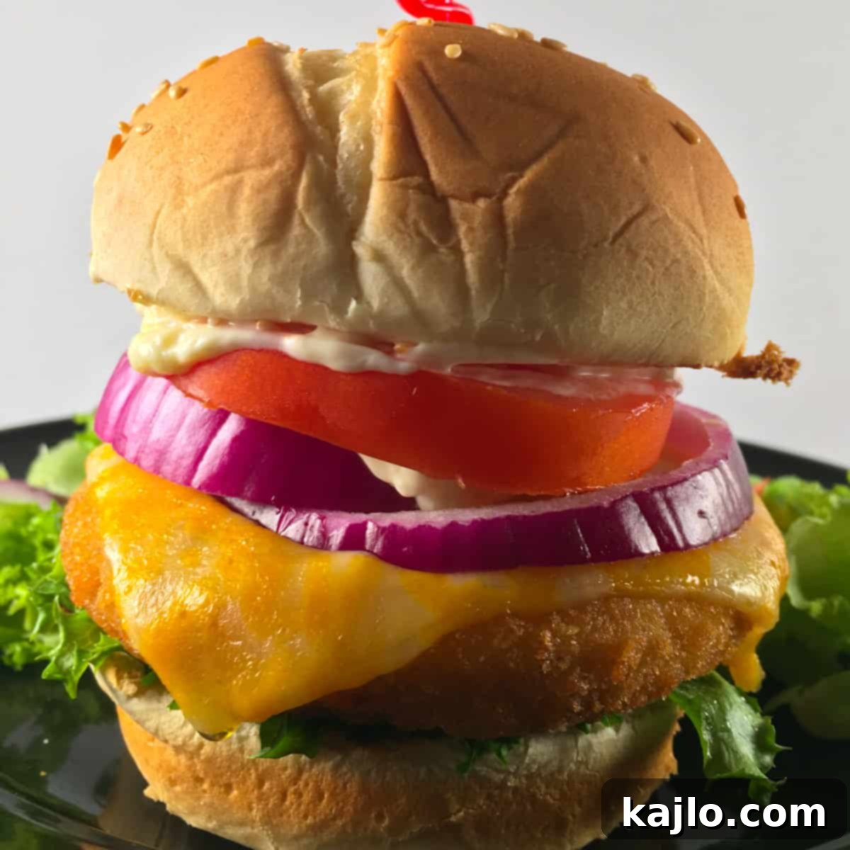 Crispy Air Fryer Frozen Chicken Patties 2 frozen chicken patties in air fryer directions