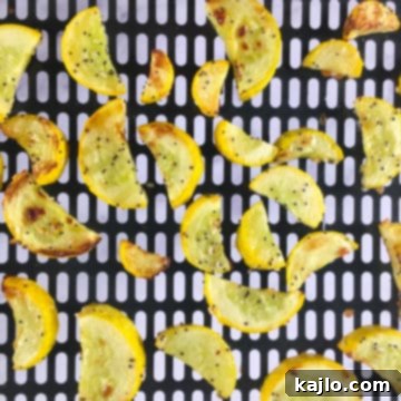 air fryer summer squash