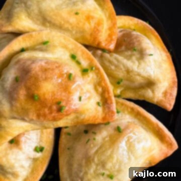 Crispy Air Fryer Pierogies 5 air fryer frozen pierogies