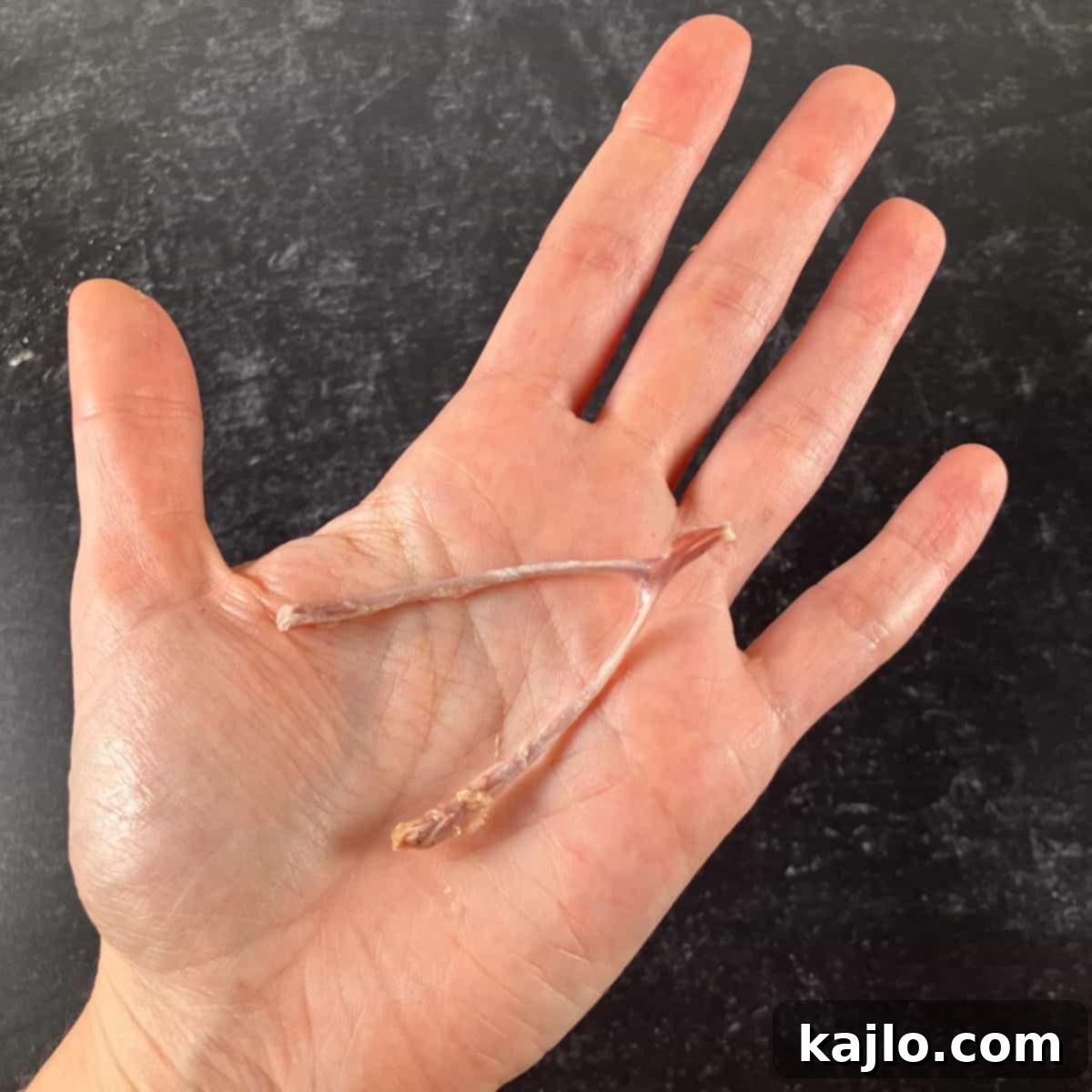 Is Sweet Sue Whole Canned Chicken Worth Buying 7 wish bone - A small, intact wishbone from the canned chicken.