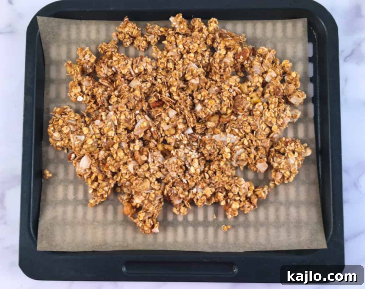 Crispy Oil-Free Vegan Gluten-Free Air Fryer Granola 4 granola air fryer tray