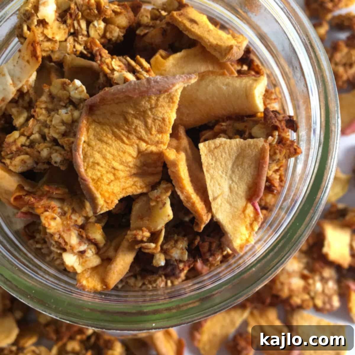 Crispy Oil-Free Vegan Gluten-Free Air Fryer Granola 5 air fryer granola recipe