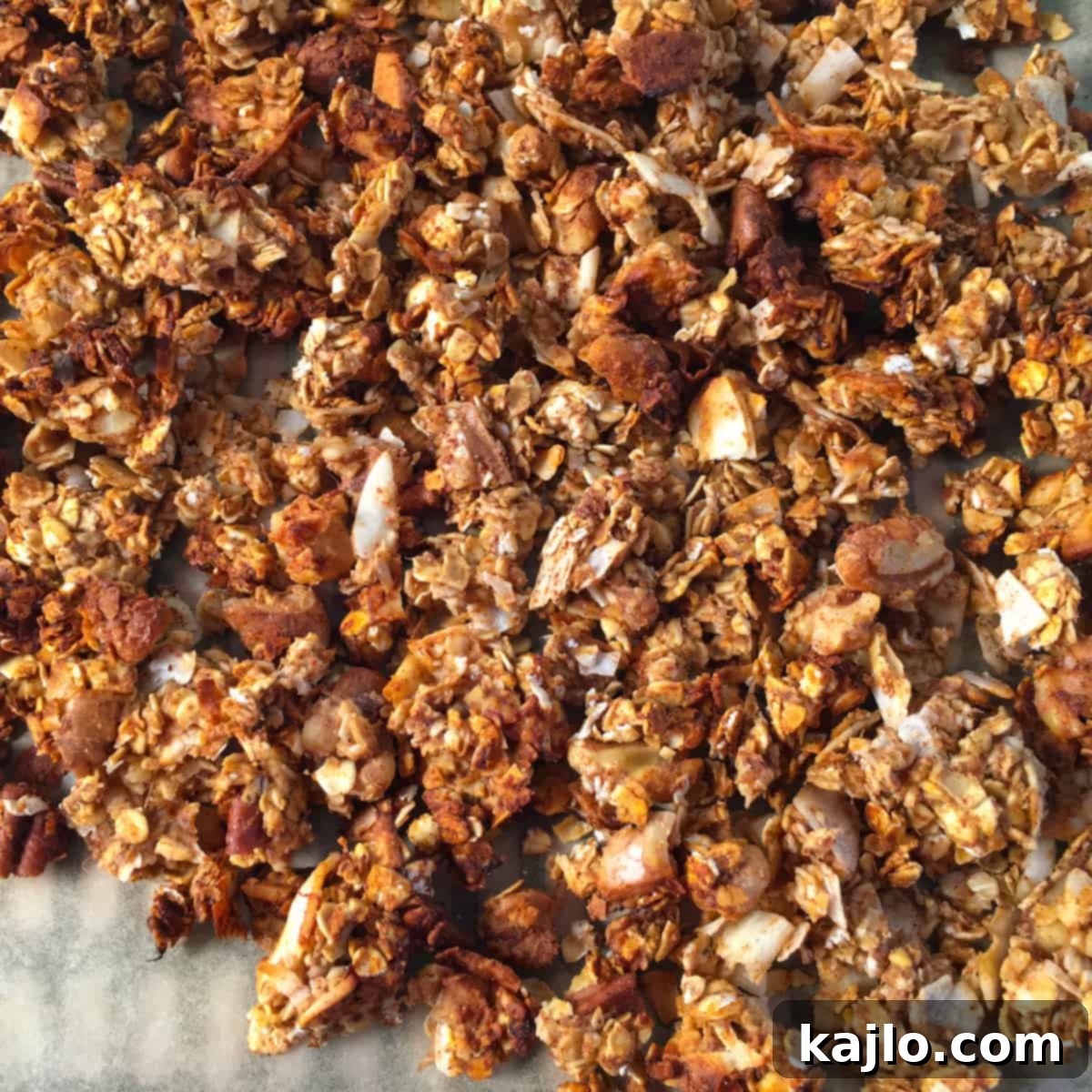 Crispy Oil-Free Vegan Gluten-Free Air Fryer Granola 6 air fried granola