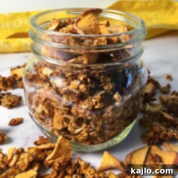Crispy Oil-Free Vegan Gluten-Free Air Fryer Granola 7 air fryer granola