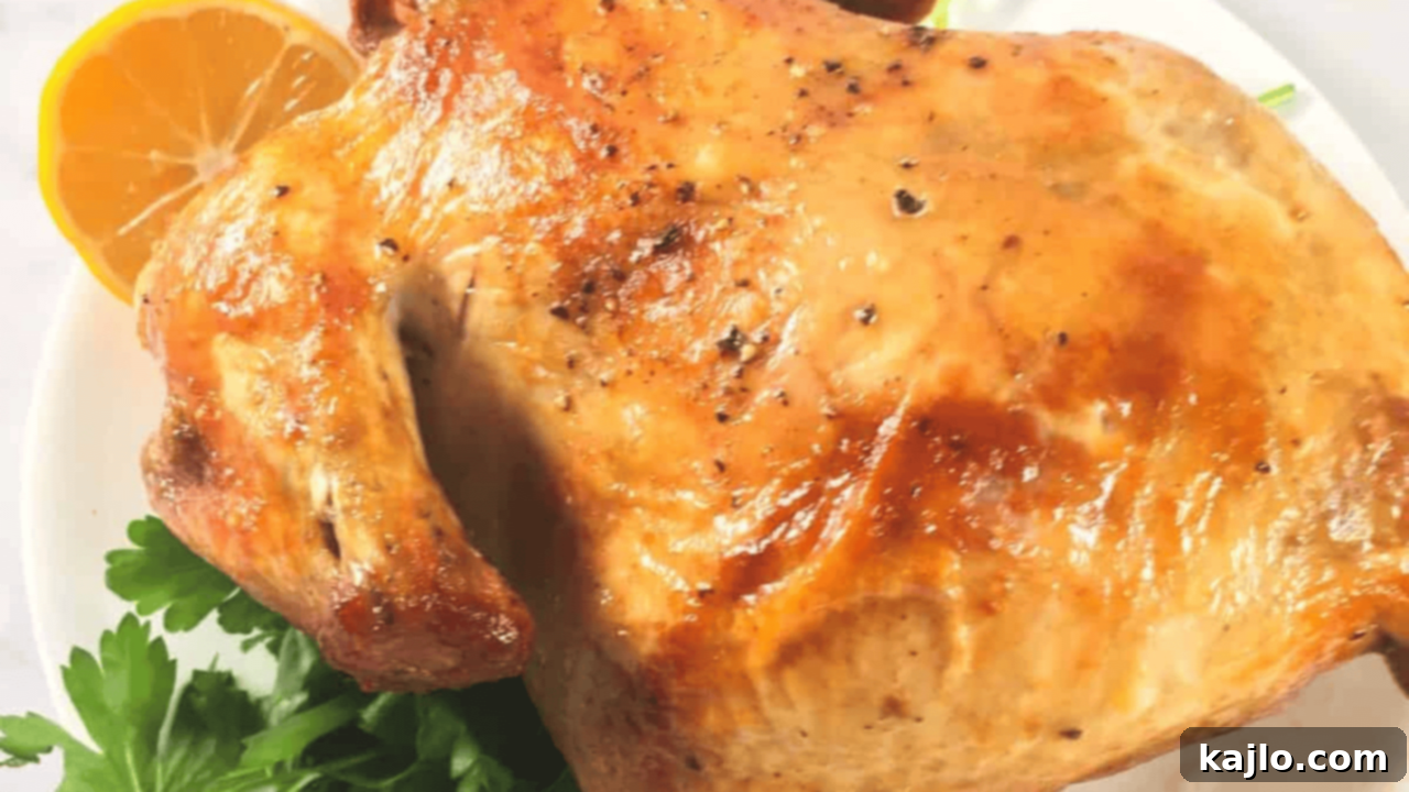 Air fryer rotisserie chicken