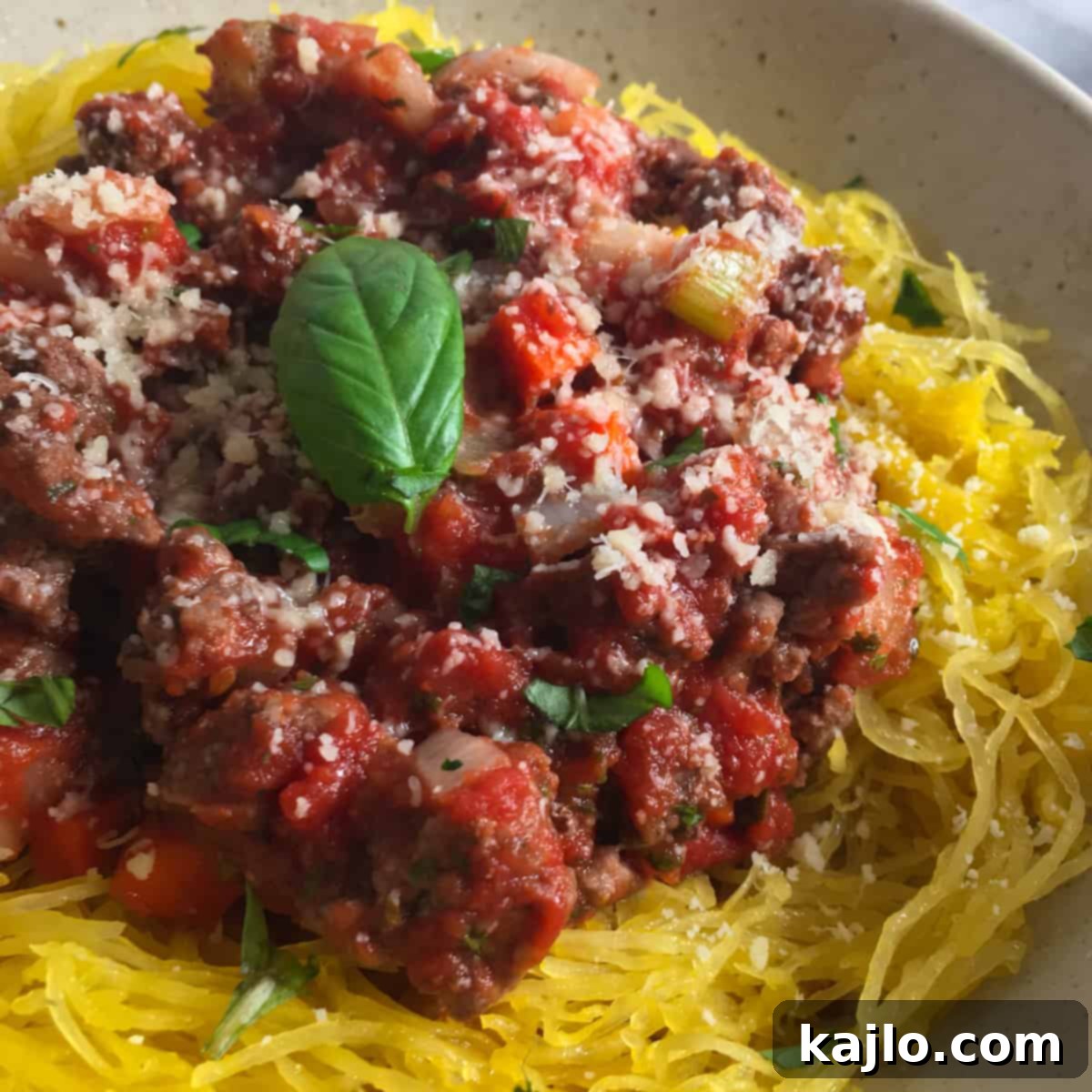 spaghetti bolognese in air fryer