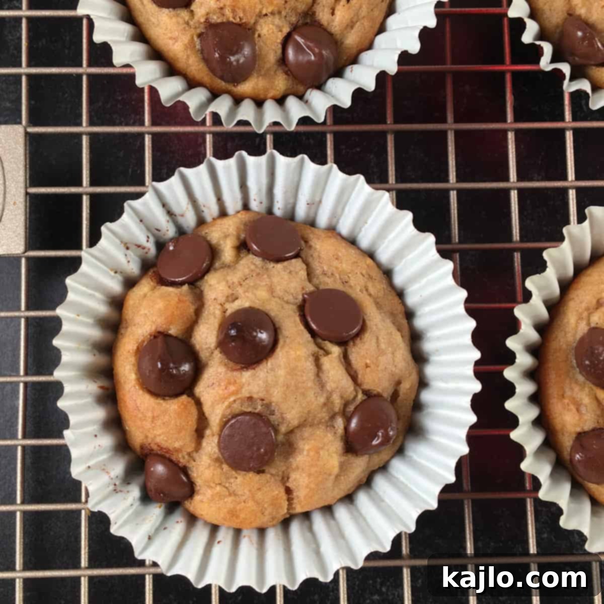 chocolate chip banana muffins Kodiak mix
