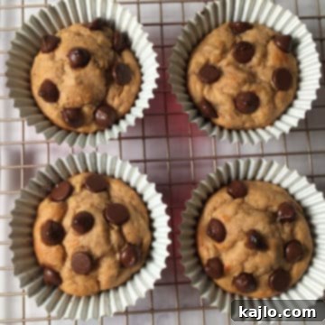 Kodiak banana muffins