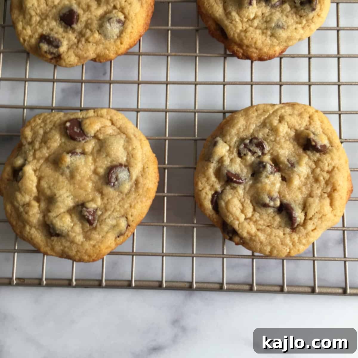Kodiak Cakes Chocolate Chip Cookies 2 kodiak cakes chocolate chip cookies