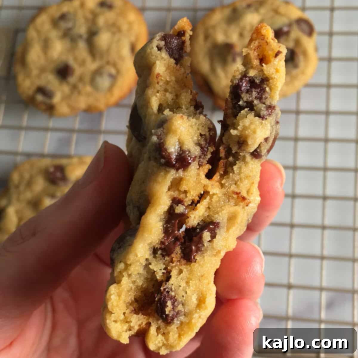 Kodiak Cakes Chocolate Chip Cookies 3 kodiak cake chocolate chip cookie