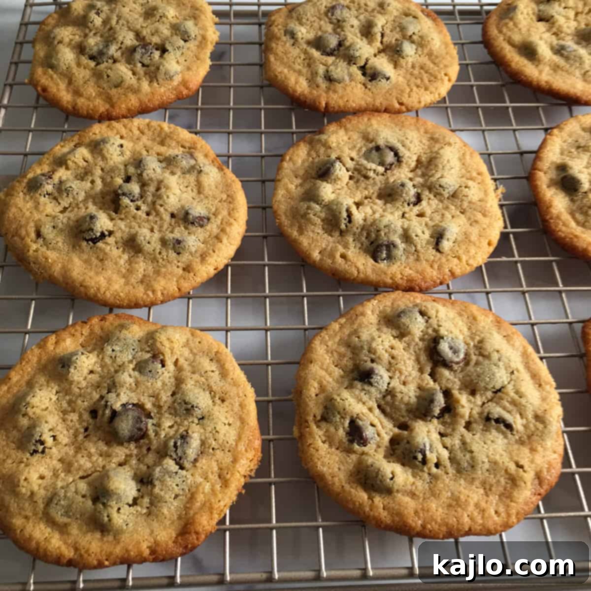 Kodiak Cakes Chocolate Chip Cookies 5 chocolate chip cookies kodiak cakes