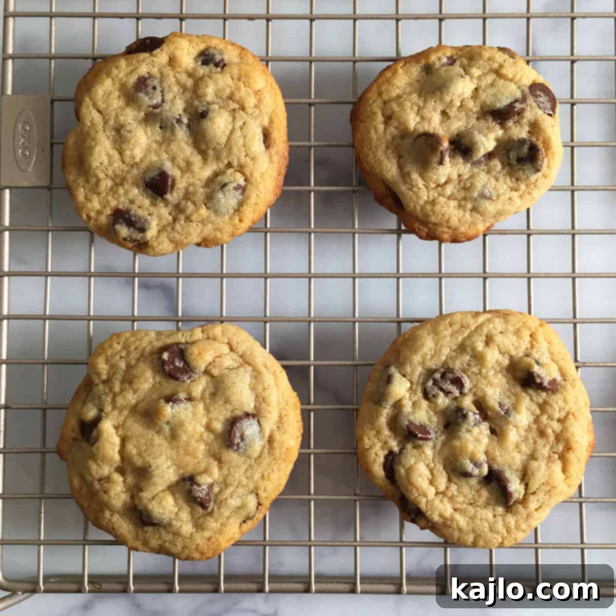 Kodiak Cakes Chocolate Chip Cookies 6 kodiak cakes cookies