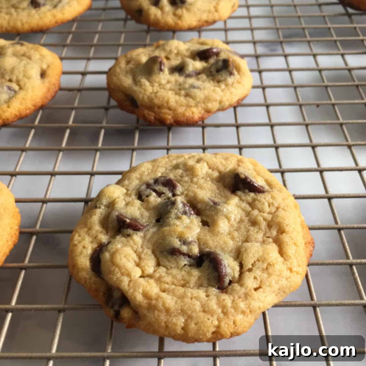 Kodiak Cakes Chocolate Chip Cookies 7 cookies made with kodiak cakes