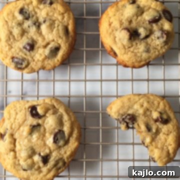 Kodiak Cakes Chocolate Chip Cookies 8 kodiak cake cookies