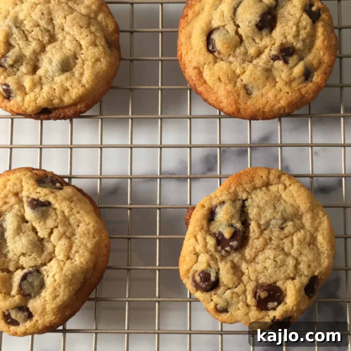 Kodiak Cakes Chocolate Chip Cookies 9 cookies made with kodiak mix