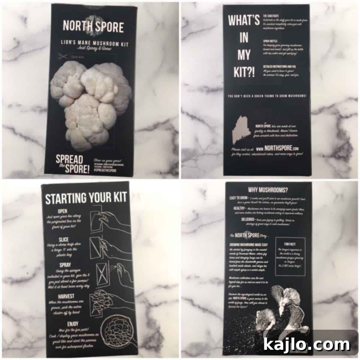 lions mane mushroom box