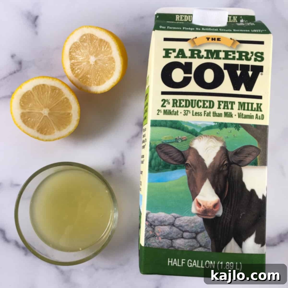 Easy Instant Pot Paneer 3 Two ingredients: milk and lemon juice for making paneer.