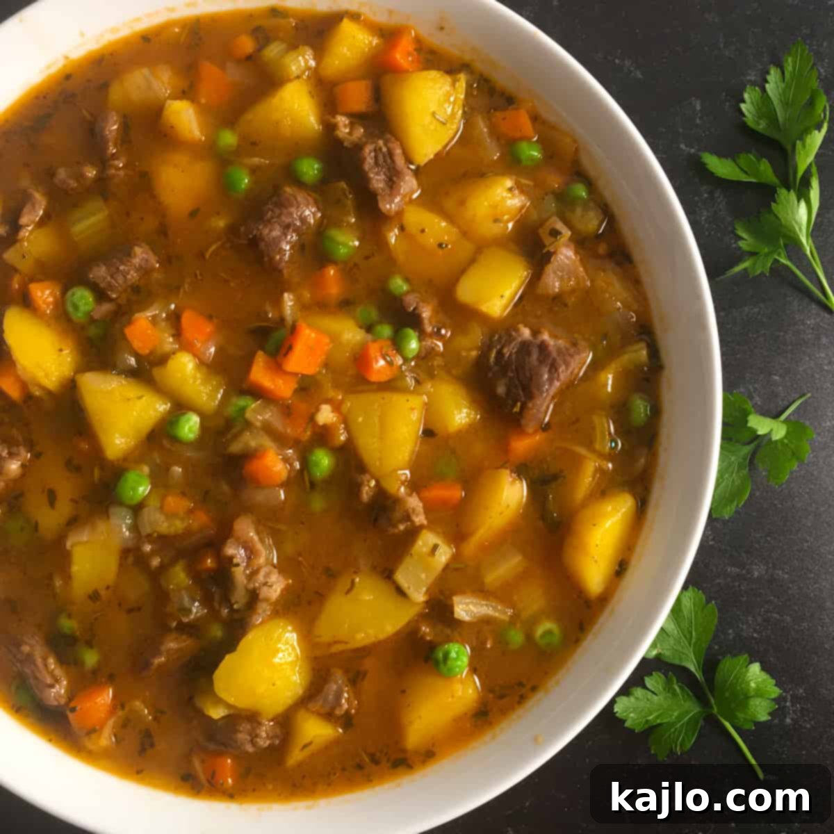 instant pot vegetable beef soup