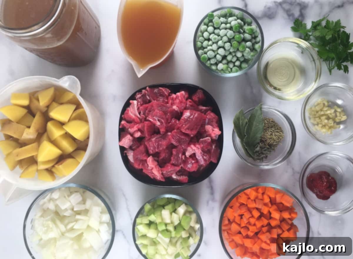 instant pot beef vegetable soup ingredients