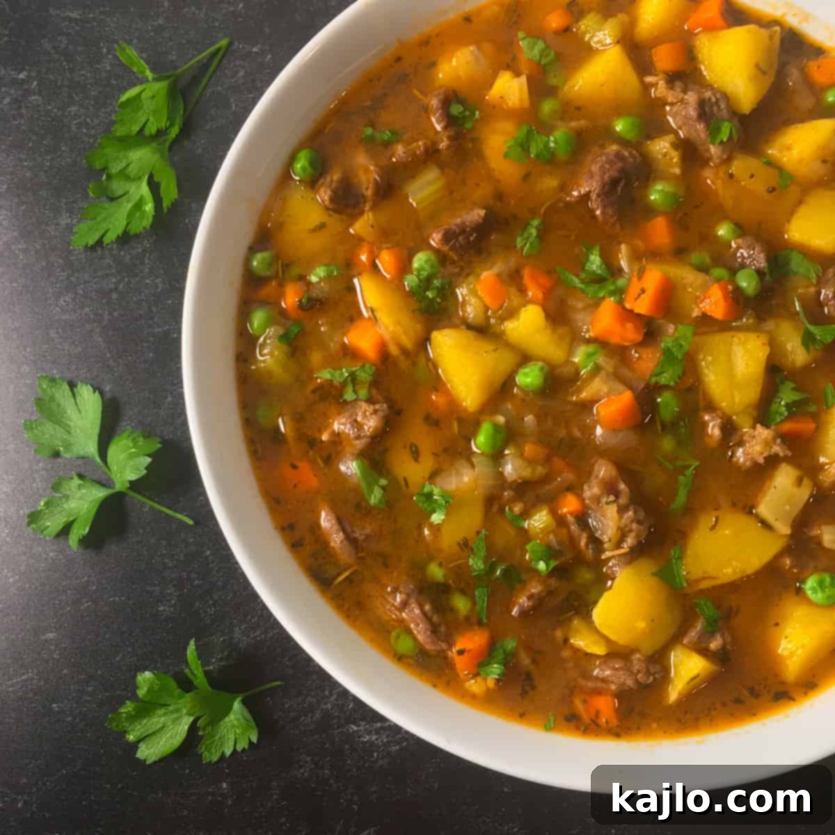 beef vegetable soup instant pot