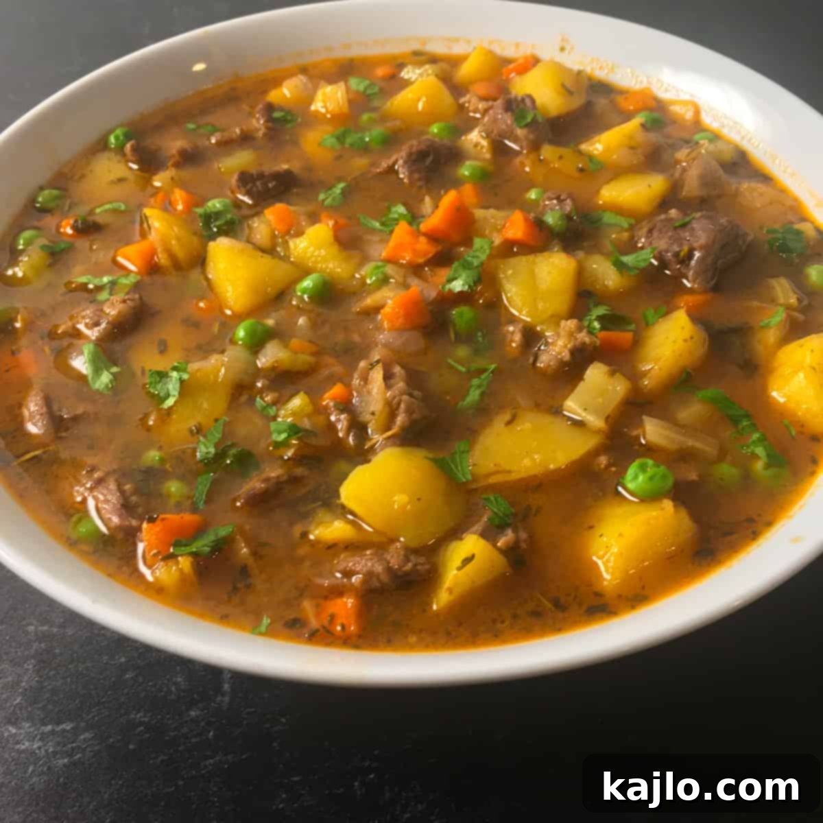 beef vegetable soup