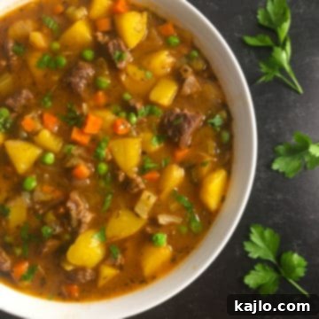 instant pot beef vegetable soup