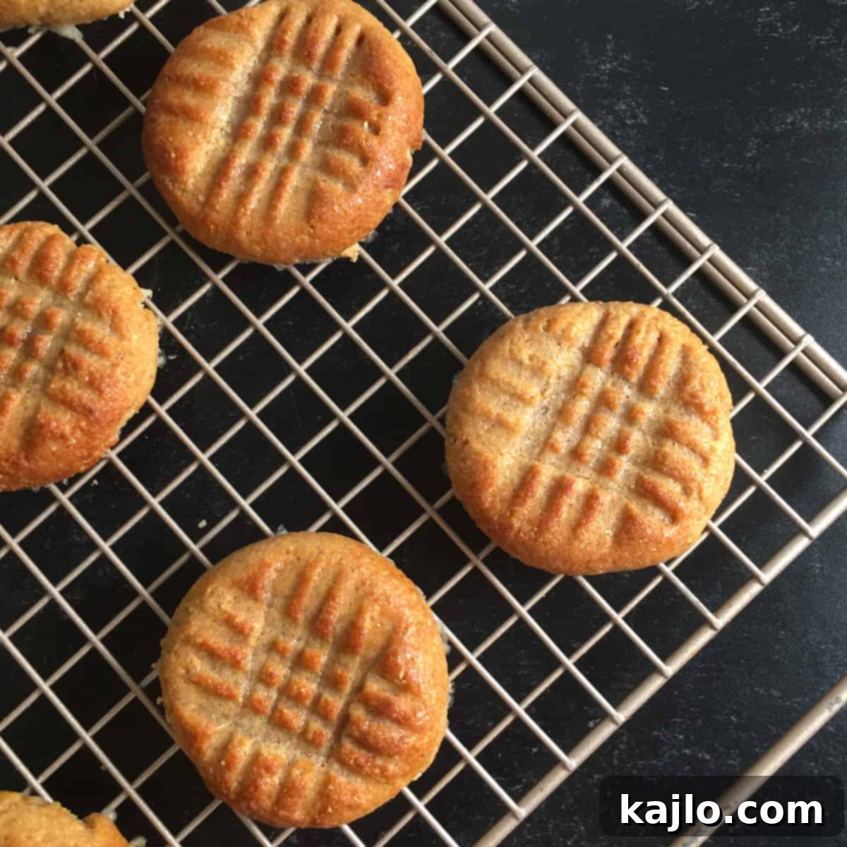 air fryer peanut butter cookies recipe