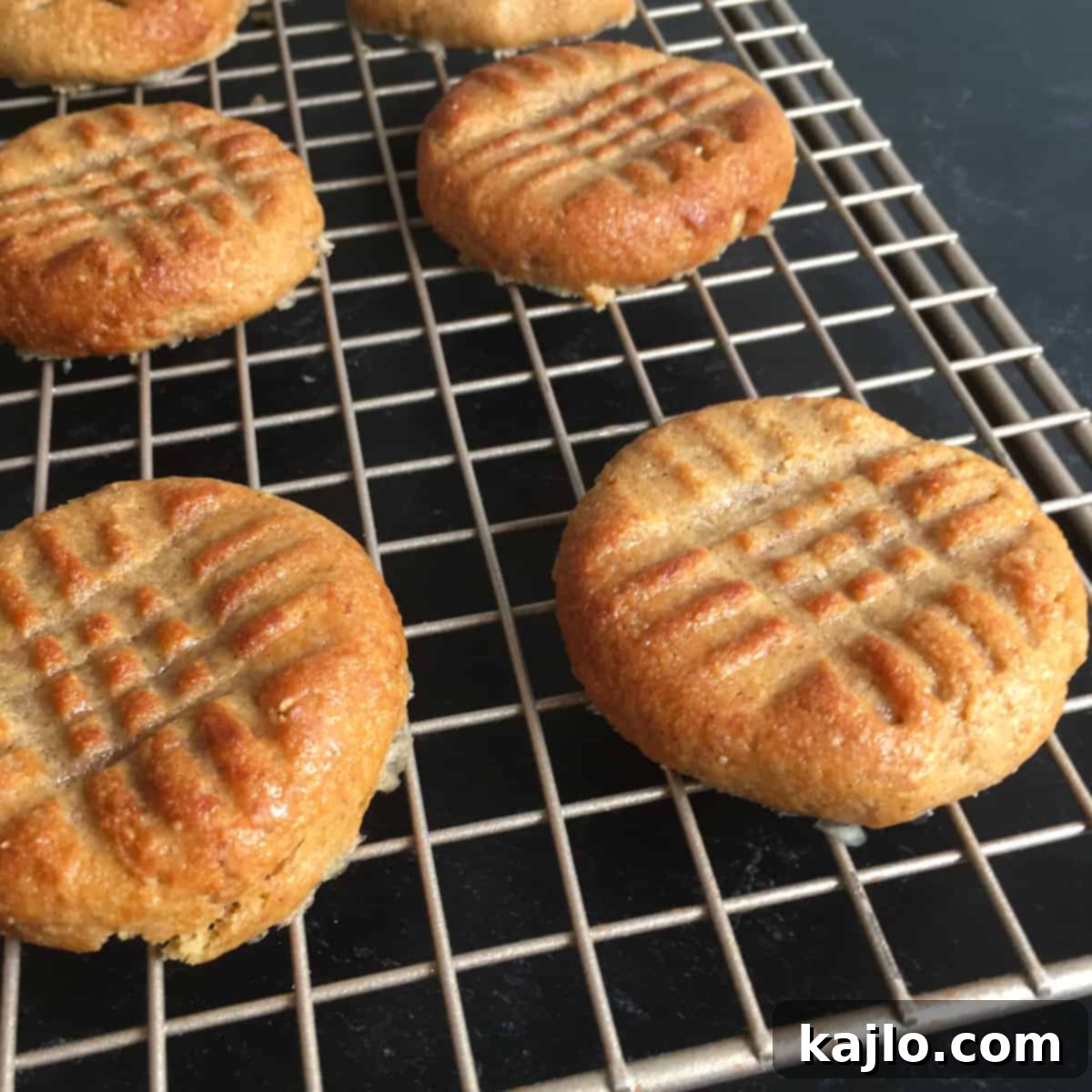 air fried peanut butter cookies