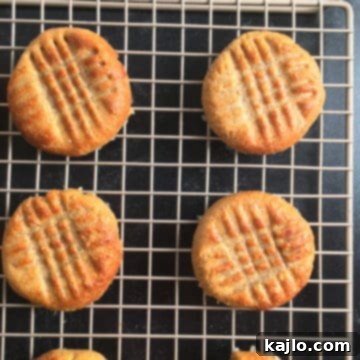 air fryer peanut butter cookies