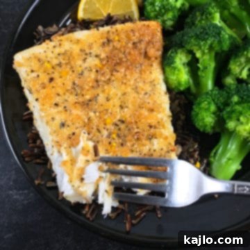 Crispy Panko Halibut in Your Air Fryer 7 air fryer halibut
