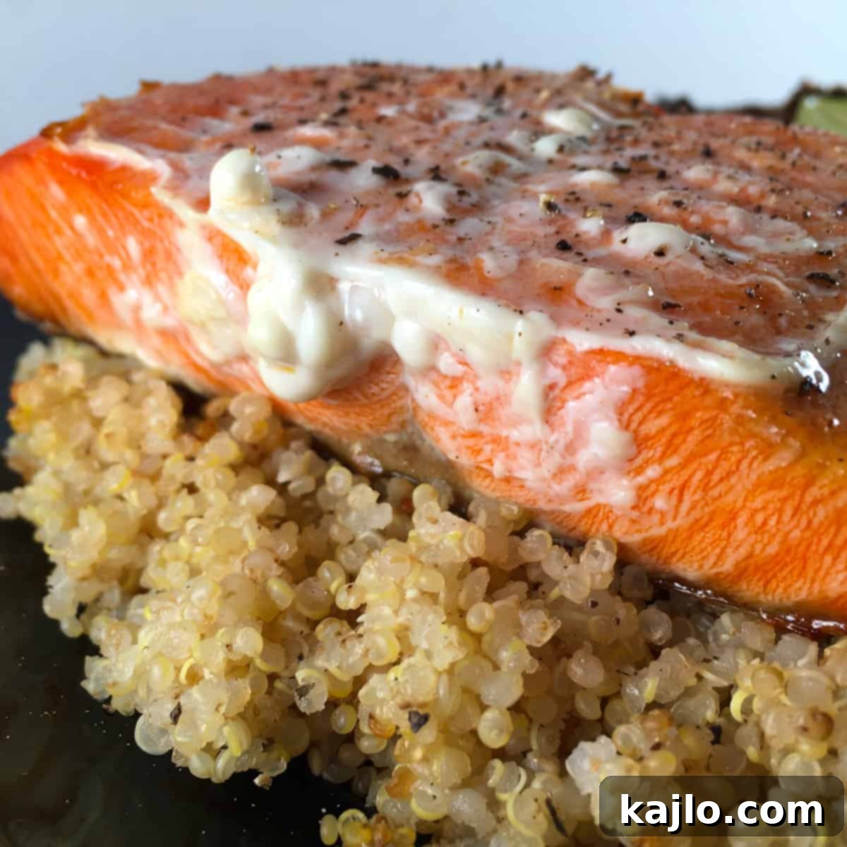 frozen salmon protein