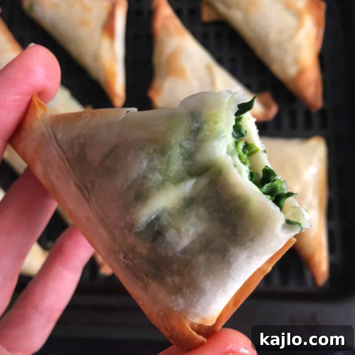 Costco Spanakopita Air Fryer Perfection 6 spanakopita