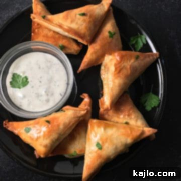 Costco Spanakopita Air Fryer Perfection 8 costco spanakopita air fryer