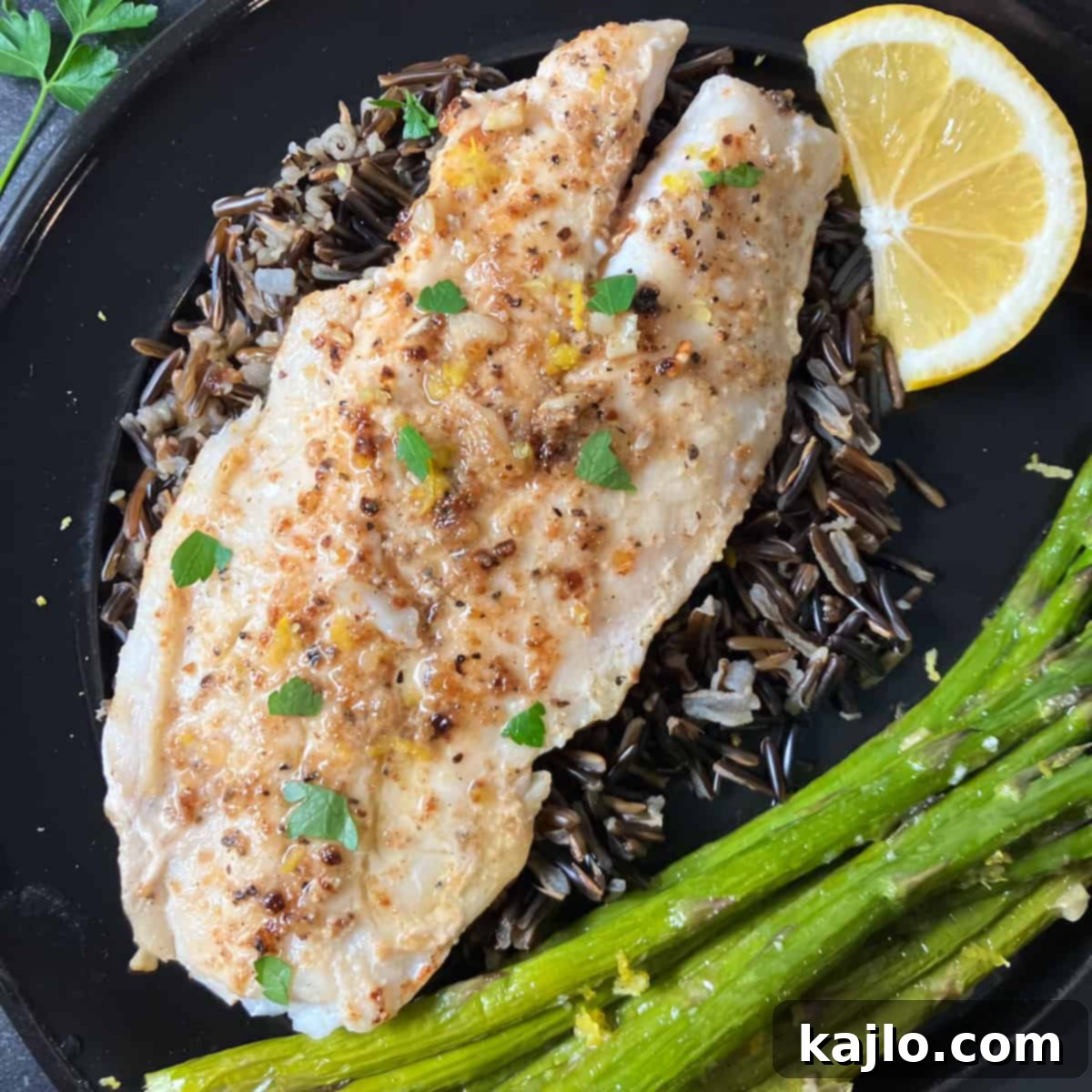 Orange Roughy Recipes Pan Fried Baked or Broiled Fillets 2 orange roughy recipe
