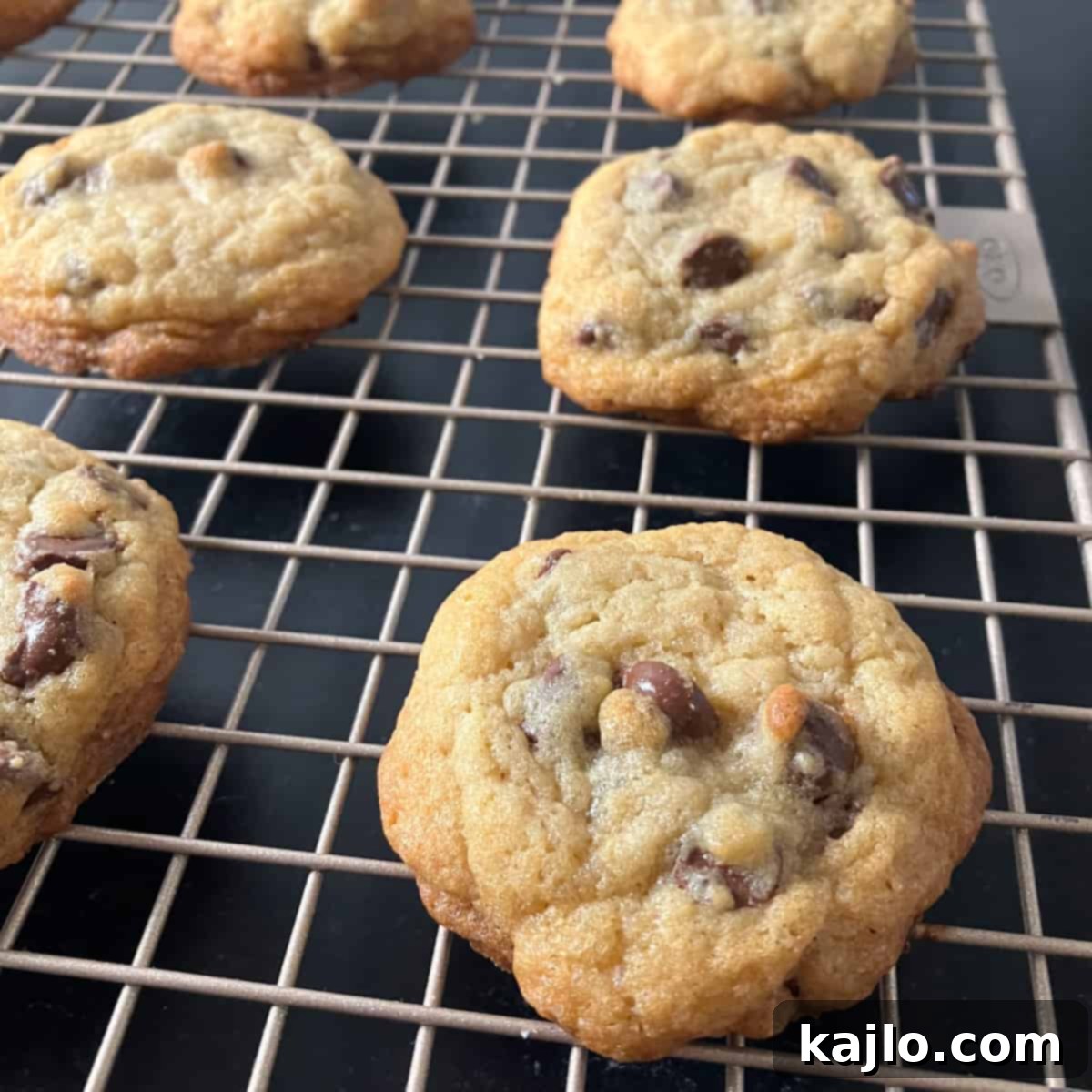 chocolate chip cookies dairy free