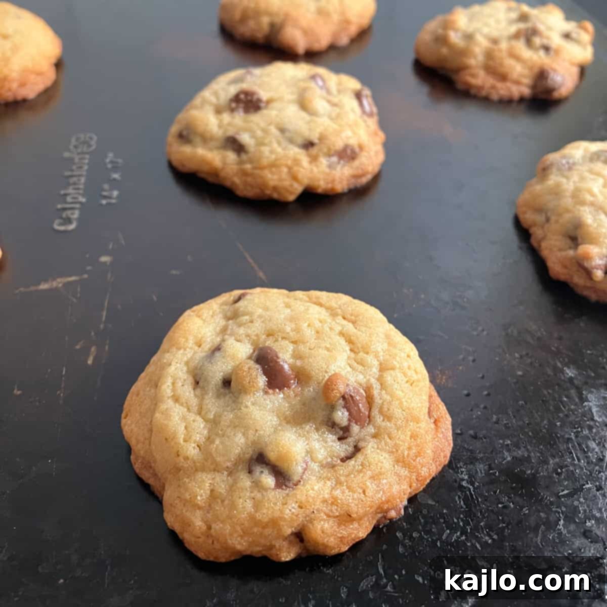 chocolate chip cookies without dairy